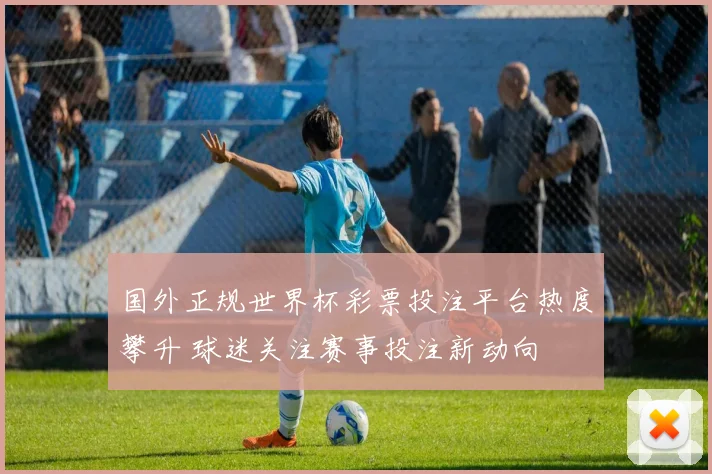 国外正规世界杯彩票投注平台热度攀升 球迷关注赛事投注新动向