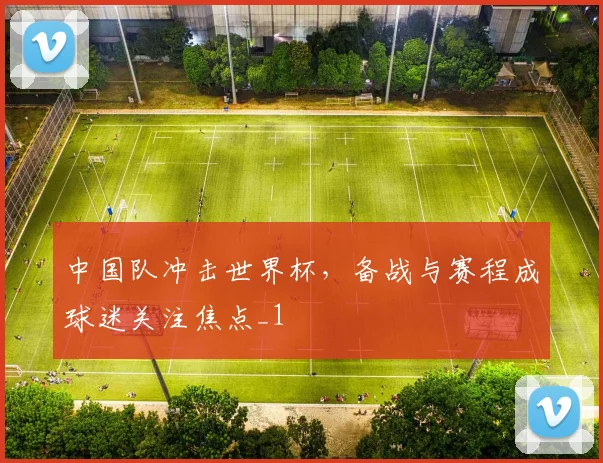 中国队冲击世界杯，备战与赛程成球迷关注焦点_1