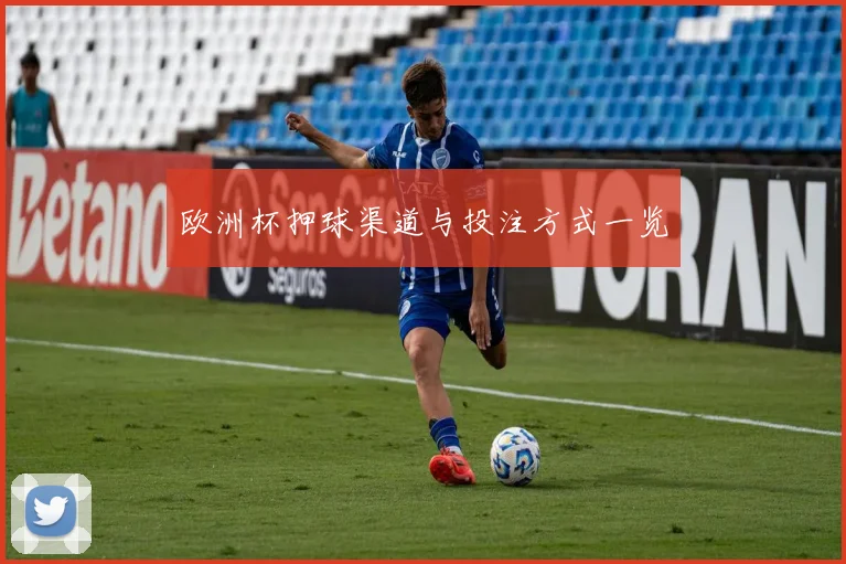 欧洲杯押球渠道与投注方式一览