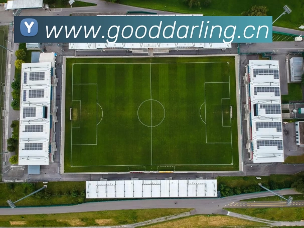 多媒体互动体验